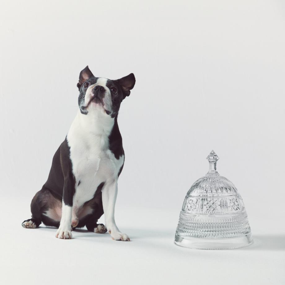 Mastercraft Pet Bowl Large with Cloche Lid