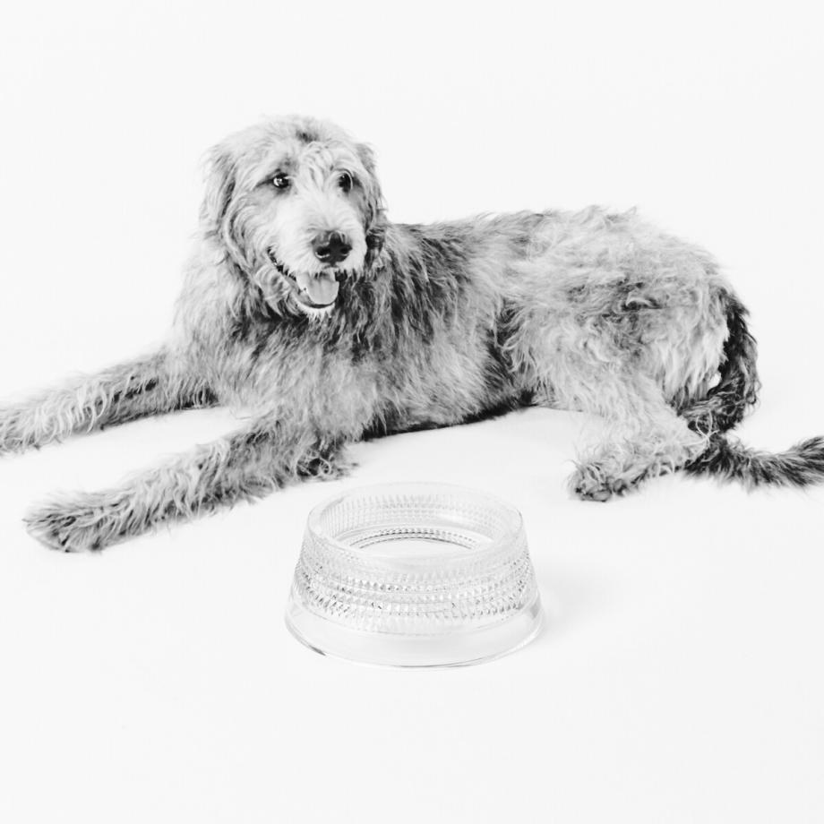 Mastercraft Pet Bowl Large