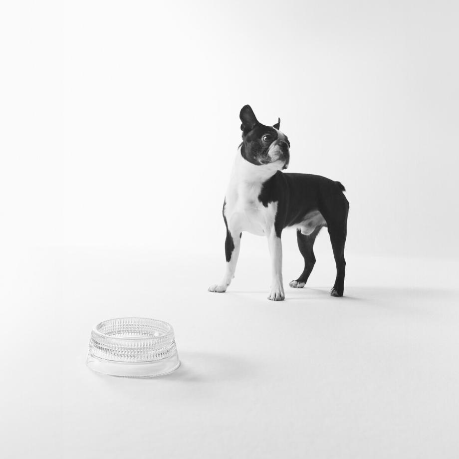 Mastercraft Pet Bowl Medium
