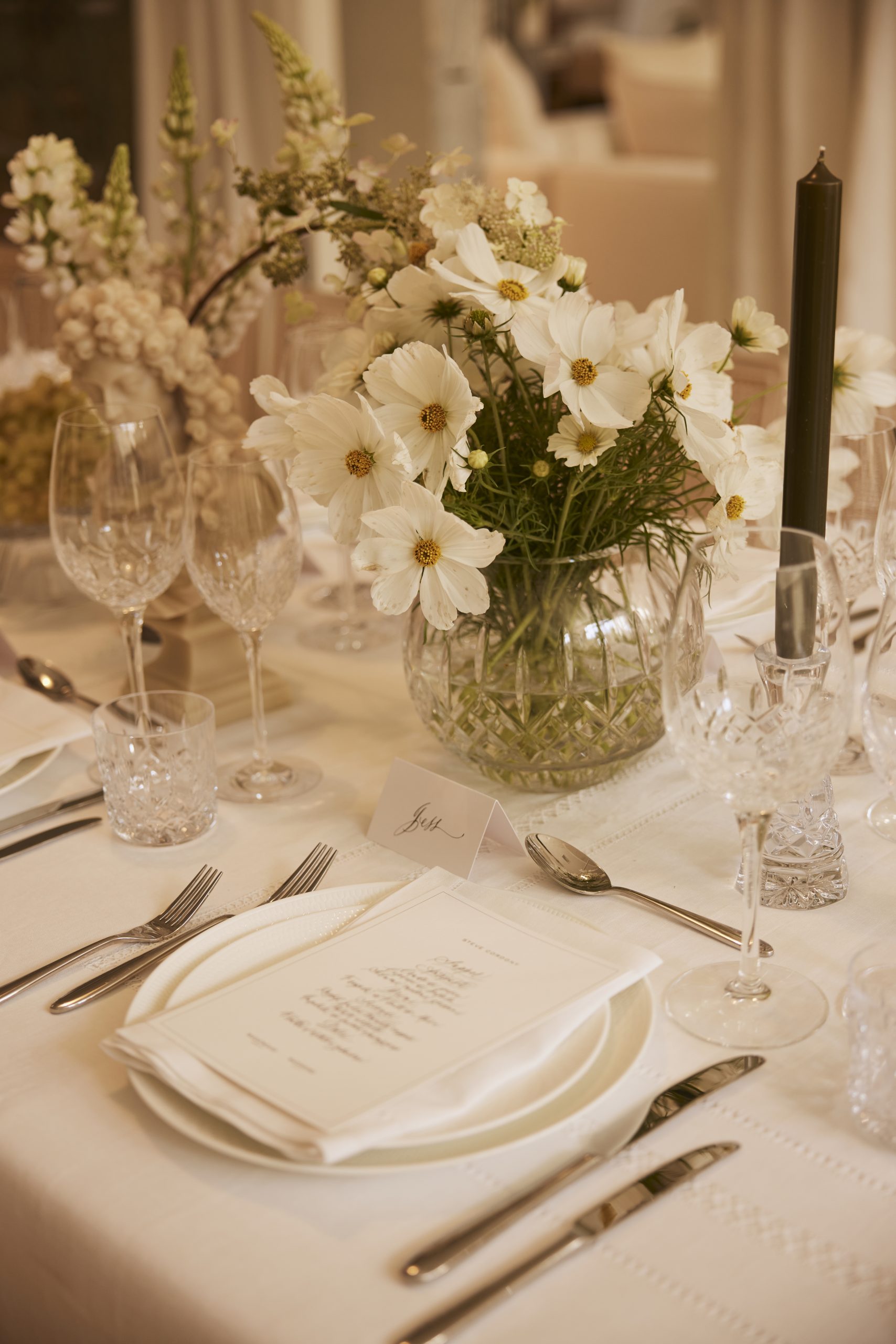 Lismore Goblet, tumbler wine glass and bowl